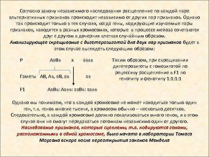 Независимое наследование признаков сколько типов гамет. Независимое наследование признаков расщепление. Закон независимого наследования признаков расщепление. Закон независимого наследования признаков расщепление по фенотипу. Закон независимого расщепления признаков.