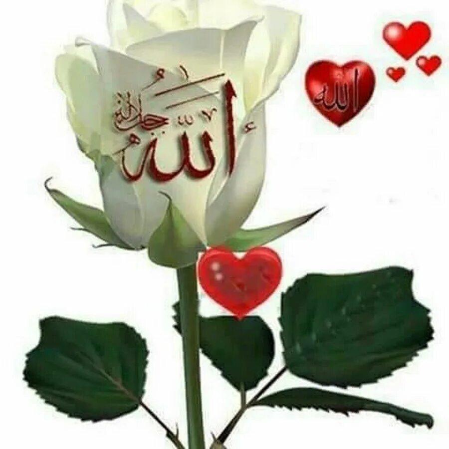 Добрый вечер по чеченски