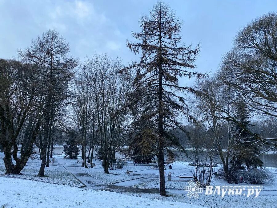 Погода на 3 дня в великих луках. Великие луки ноябрь. погода великие луки. сегодня погода в великих луках фото.