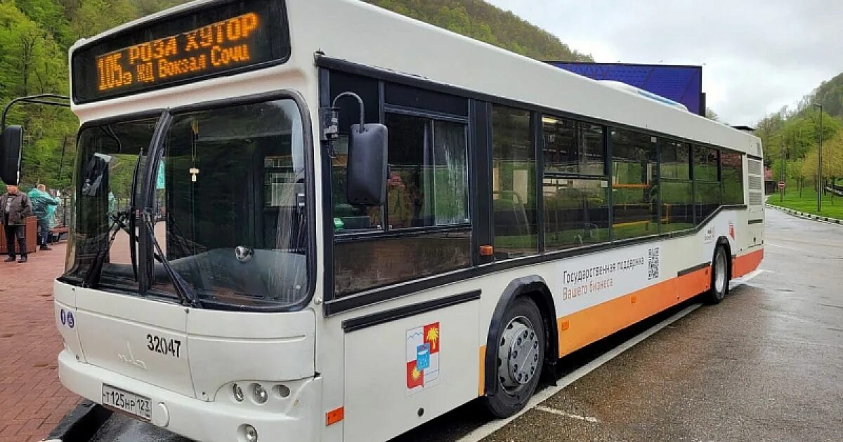 Проезд на 105 автобусе сочи. Автобус 105 сочи. 550 автобус сочи. автобус 552. экскурсионный автобус сочи.