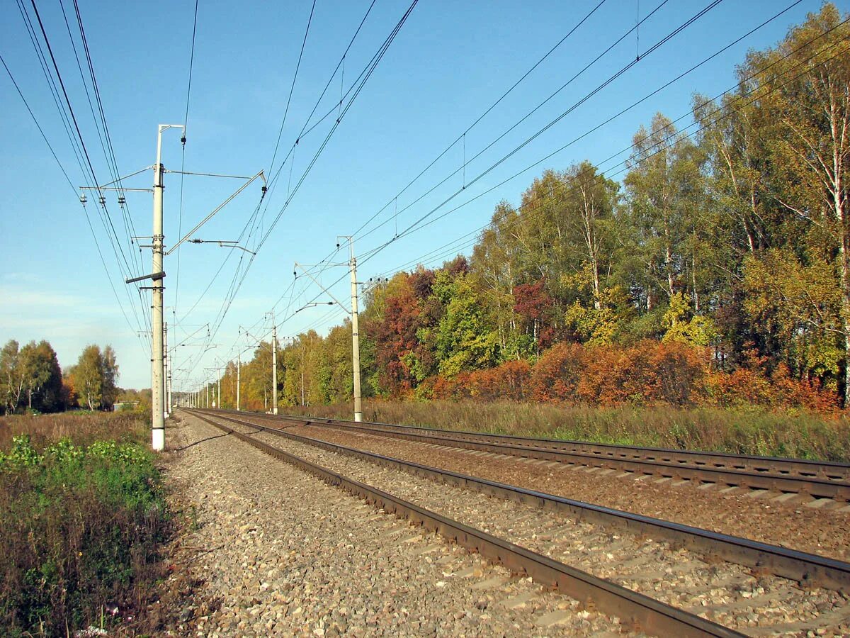 платформа заветы ильича ярославское направление. платформа заветы ильича ярославское направление. платформа заветы ильича пушкино. абонемент на электричку москва. станция заветы ильича пушкинский район.