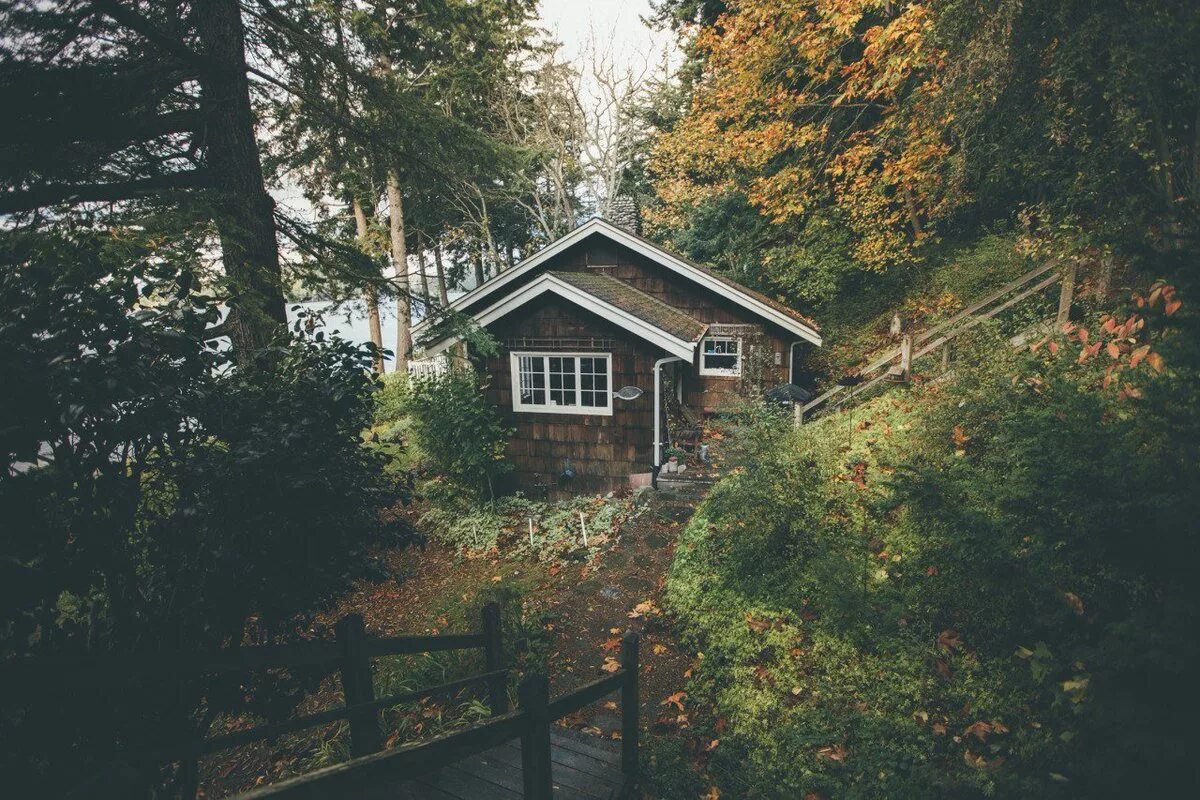 "Домик на Холме" Аше. Домик в лесу. Дом в лесу. Уютный домик в лесу.