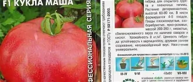 Томат кукла характеристика и описание сорта. Сорт помидор кукла. помидоры елизавета. томат кукла маша f1 характеристика и описание. помидоры елизавета описание сорта.