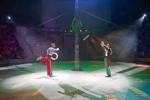 Экспо цирк екатеринбург 2023