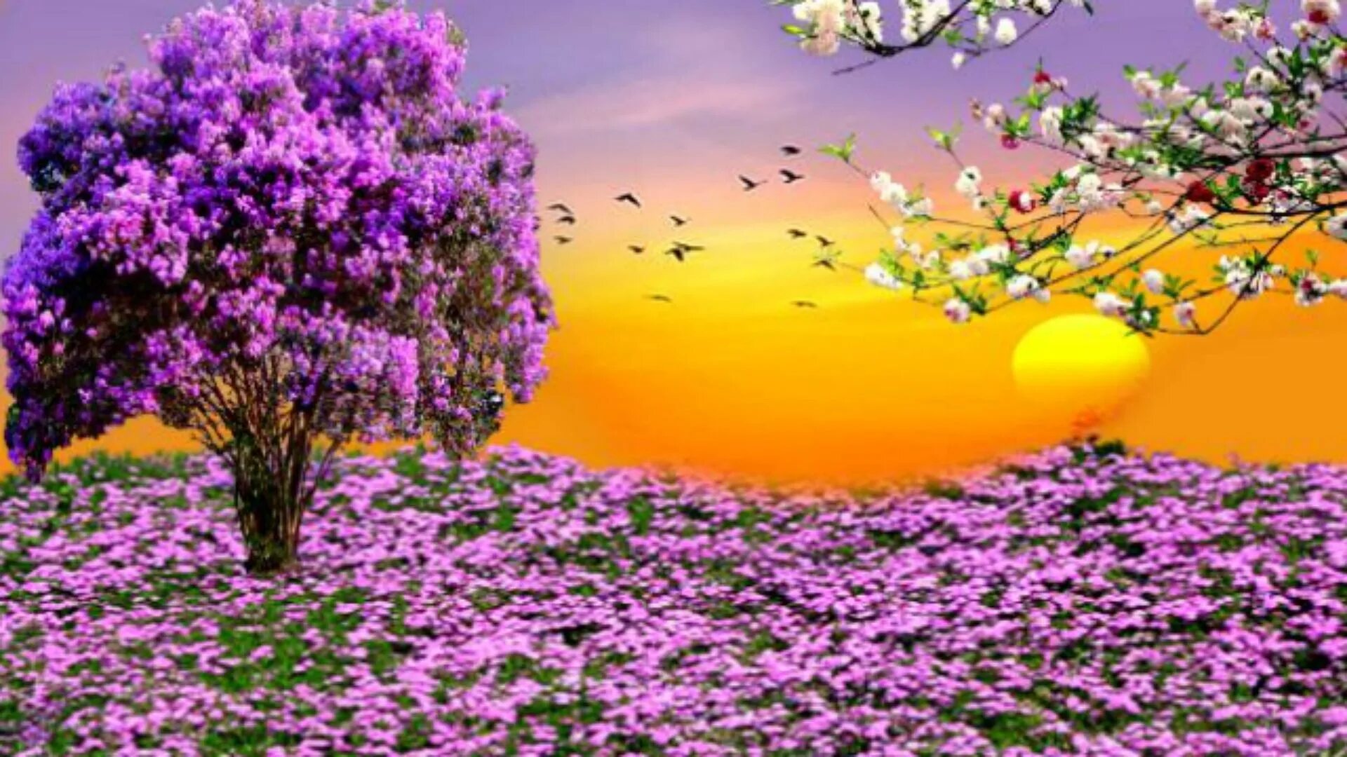 Spring scenes