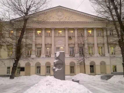 Лингвистический нижний