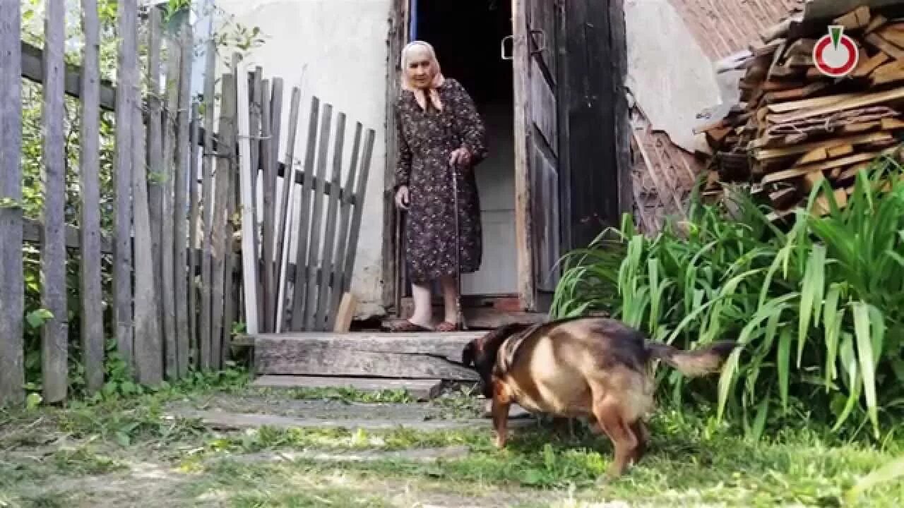 Бабушка в деревне. Деревенские собаки. Бабка в деревне. Старушки в глухой деревне. Что тимуровцы сделали для старухи молочницы