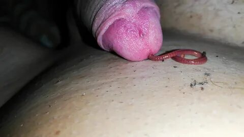 Gjgiggfjhhjhfhjhkghjgjhkj. 