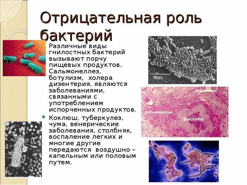 Какова положительная роль бактерий. Положительная роль микроорганизмов. Влияние бактерий. Отрицательная роль бактерий. Отрицательное влияние бактерий.