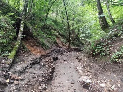 В оврагах клубятся