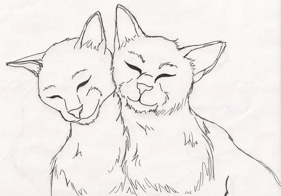 Нарисовать 2 рисунка. Раскраска коты Воители 2 кота. Раскраска кошка Лана. Коты Воители Наброски. Набросок двух котов.