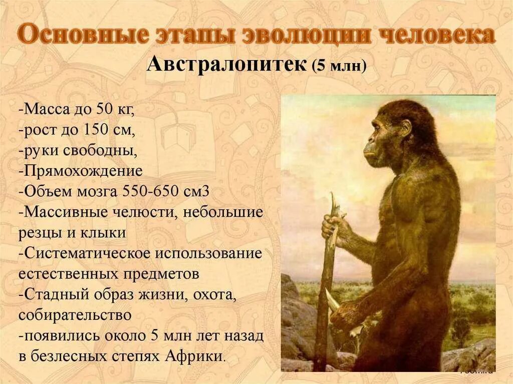 Происхождение человека этапы эволюции. Древние люди этапы развития. этапы эволюции человека. развитие человека этапы эволюции. этапы развития селовек.