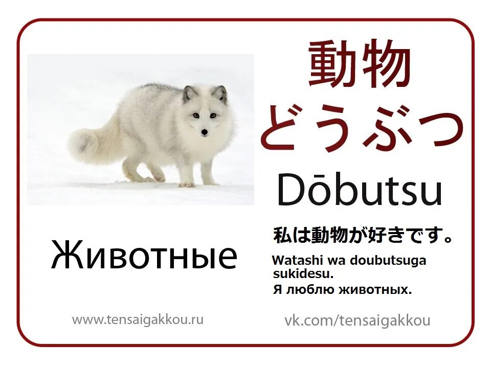 Как будет собака на китайском. Карточки для изучения японского языка. Животные на японском языке. Японские животные. Японский язык карточки.