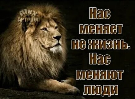 Слово лева