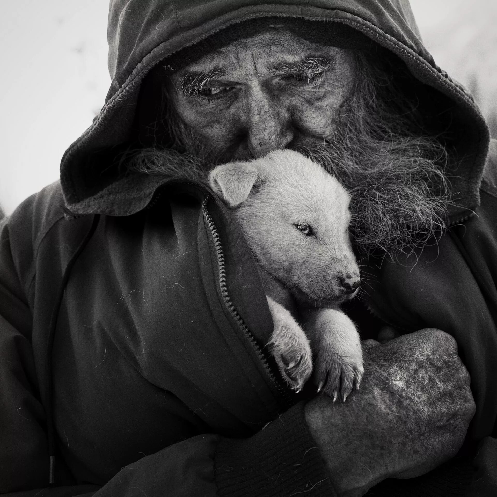 If you show kindness an animal it. Человечность к животным. Доброта к людям. Доброта картинки. О доброте.