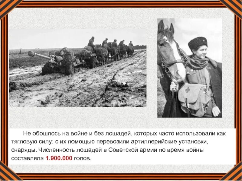 Интересные факты о войне 1941 1945