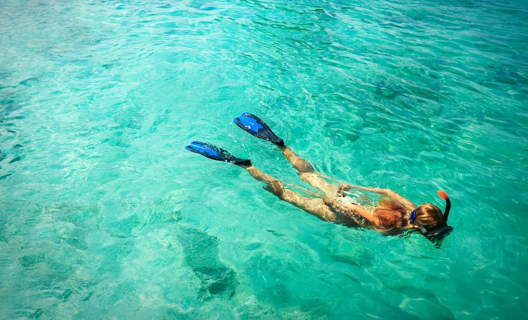Snorkeling Trip in El Gouna - Egypt Tours Portal