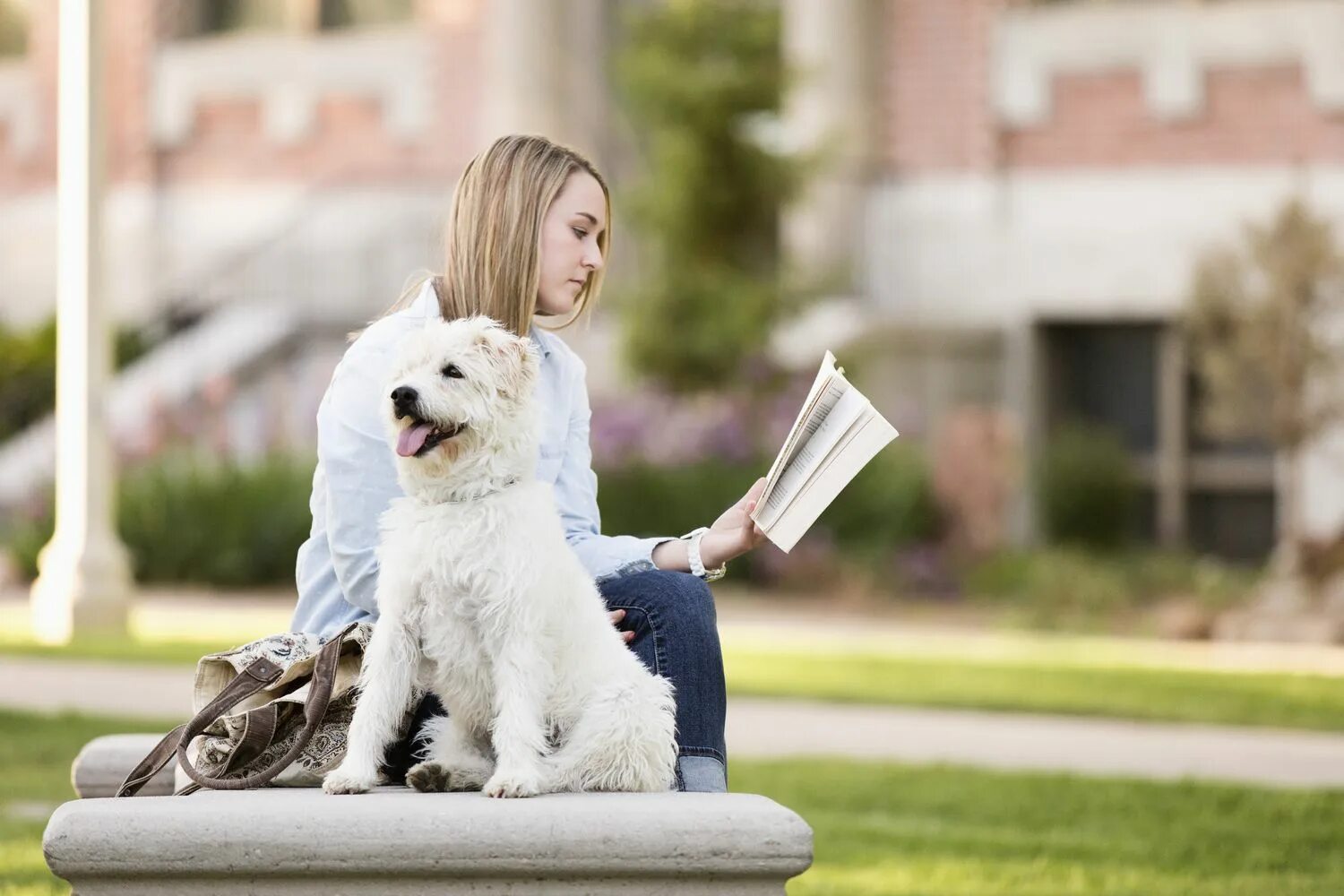 Top pets. Собака читает. Выбрать питомца. Собака читает книгу. Писатели со своими питомцами.