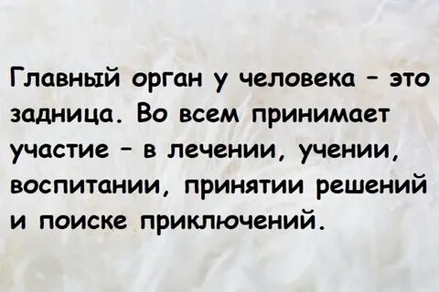 Орган высказывания