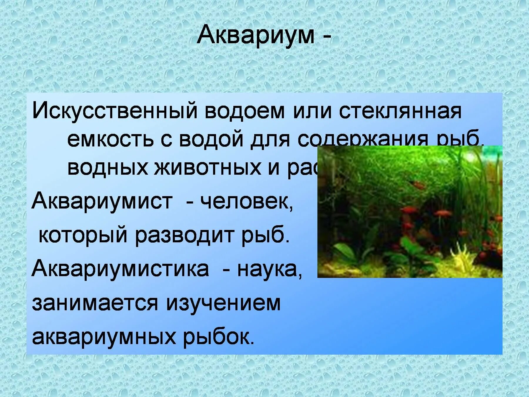 Различия аквариума и естественного водоема. Экосистема аквариума. Искусственные экосистемы. Водная искусственная экосистема аквариум. Экосистема естественного водоема и аквариума.