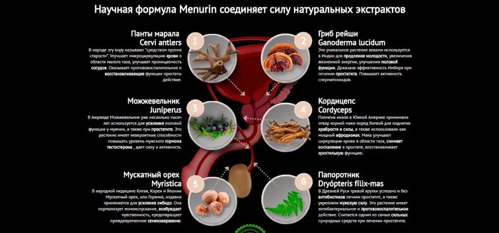 Питание для подвижности спермиев. Еда для подвижности сперматозоидов. Повышение активности сперматозоидов. Продукты для улучшения сперматозоидов. Можно употреблять при простатите