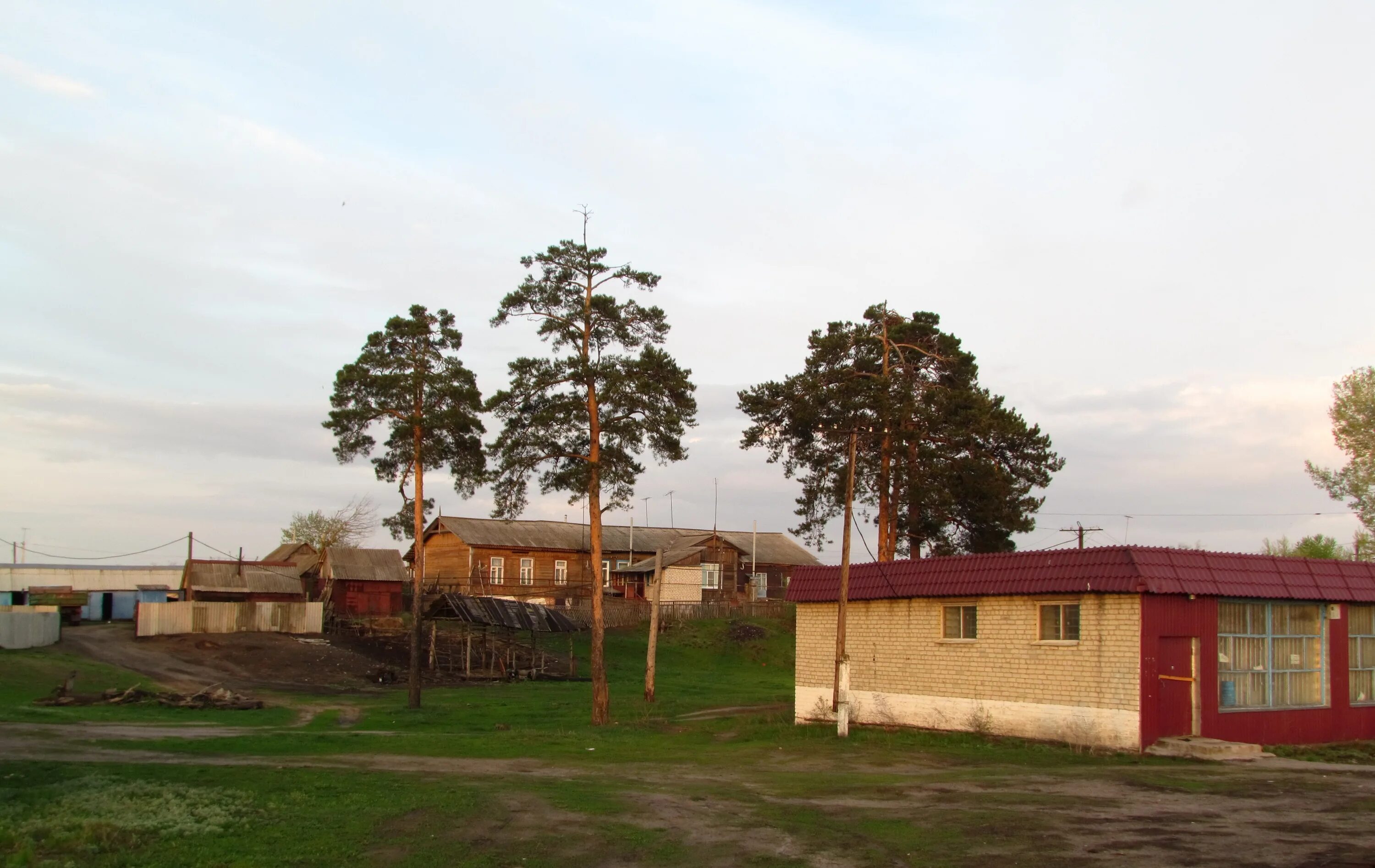Погода село сосновка алтайский. Село сосновка пензенская область.