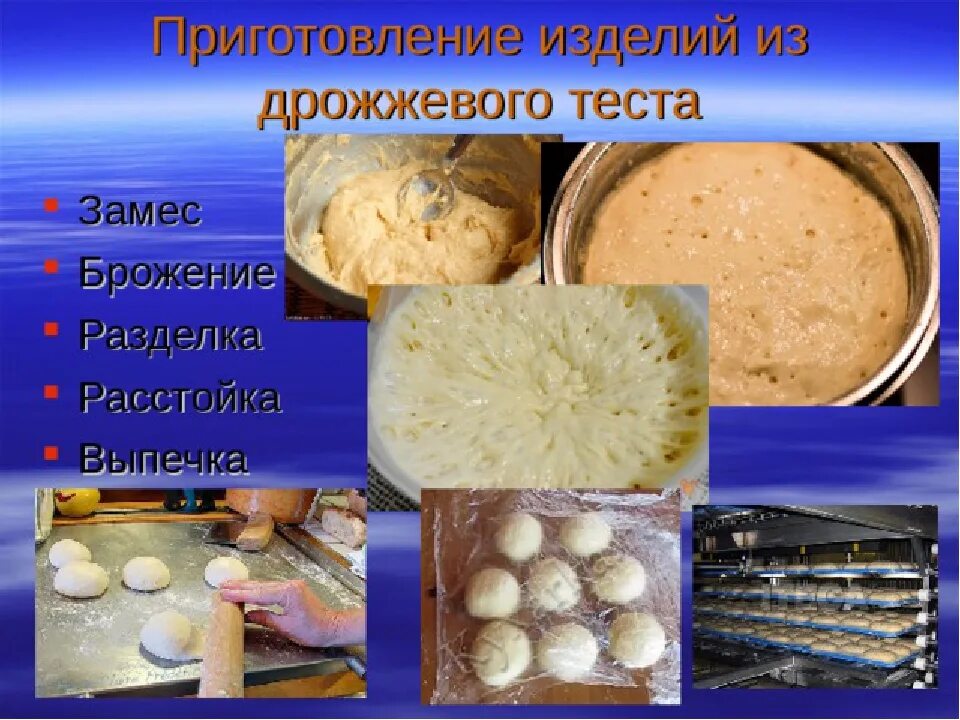 Продукты дрожжевого теста. Этапы приготовления теста. Сырье для приготовления дрожжевого теста. Этапы приготовления дрожжевого теста. Способы замеса дрожжевого теста.