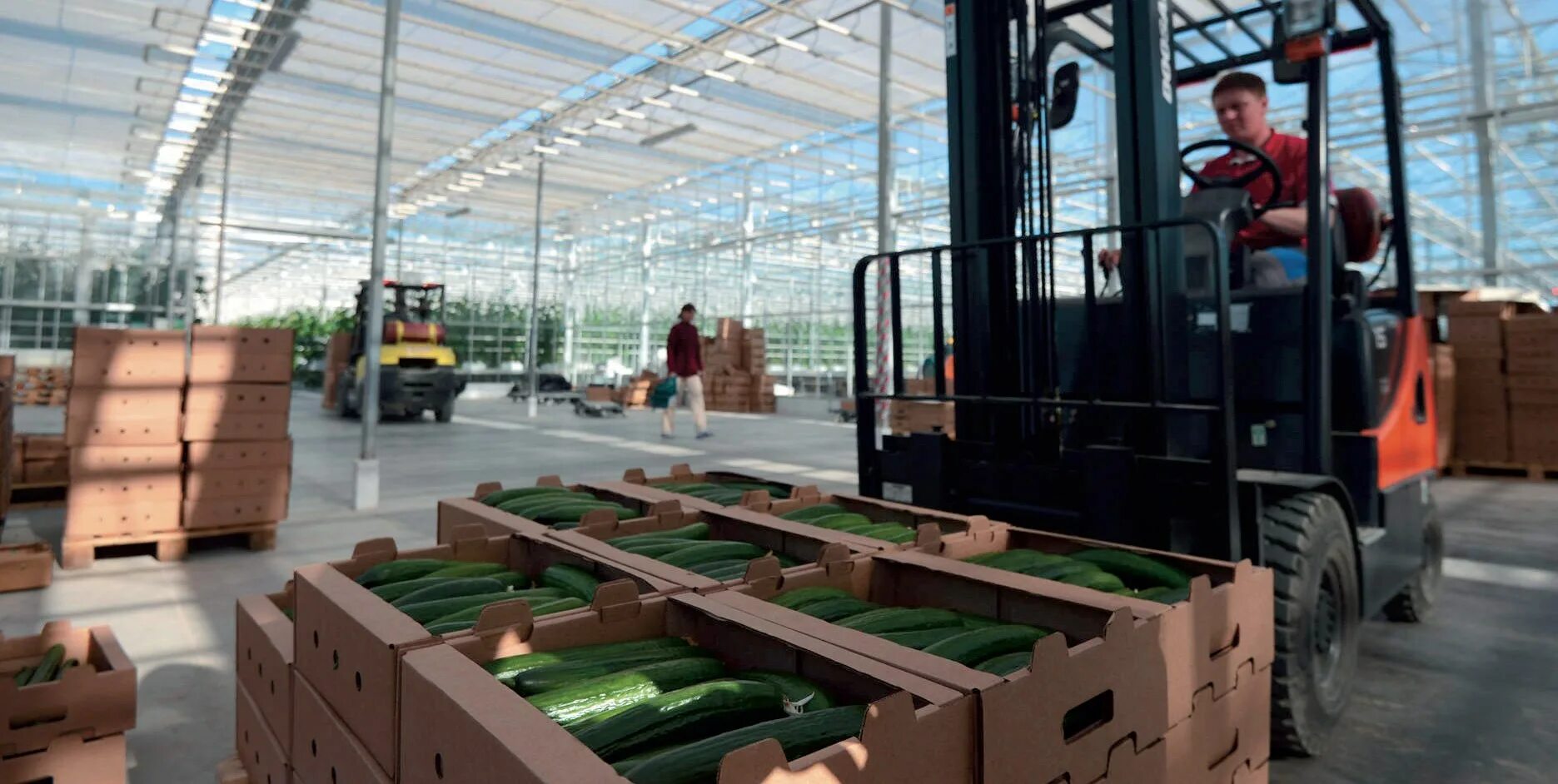 Логистический парк янино спб. Агропарк инновация люлли. Индустриальный парк ворсино. Теплицы лесная новгородская область. Логистический терминал кольцово.