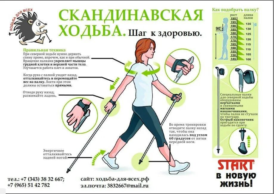 Какой длины палки для скандинавской ходьбы. Скандинавская ходьба как выбрать палки по росту таблица. Как правильно выбрать длину палок для скандинавской ходьбы. Как выбрать высоту палок для скандинавской ходьбы. Как правильно подобрать размер палок для скандинавской ходьбы.