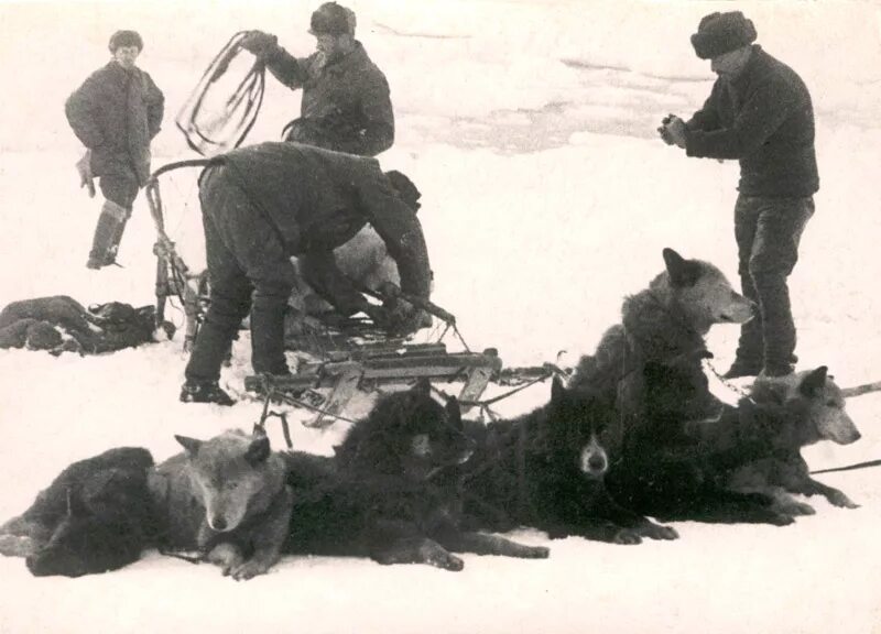 Североземельская Экспедиция 1930 1932 гг. Североземельская Экспедиция.