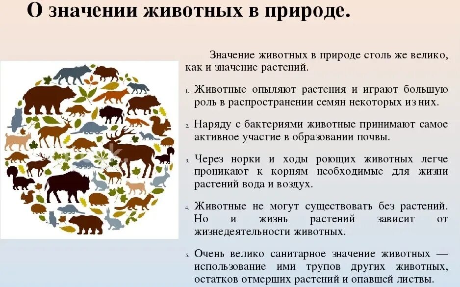 Почему важно уделять внимание охране диких животных. Роль животного в природе 3 класс окружающий мир доклад. Роль животных в природе 7 класс биология. Доклад на тему роль животных в природе 3 класс окружающий мир. Какова роль животных в природе и жизни человека 5 класс биология.