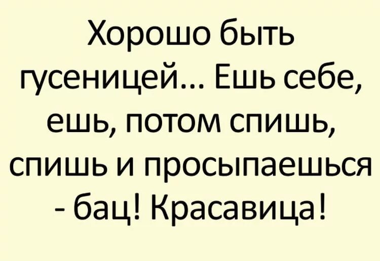 История про самую. Смешные истории. Смешные рассказы. Короткие смешные рассказы. Смешные истории небольшие.