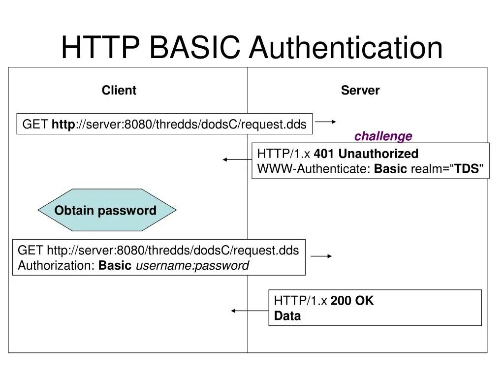 Auth program. Basic авторизация. basic authentication. базовая аутентификация. basic auth.
