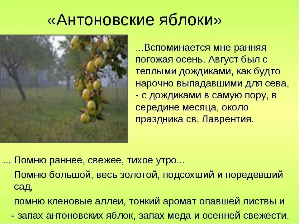 Вспомните о чем был рассказ. Антоновские яблоки. Антоновские яблоки Бунин краткое. Антоновские яблоки произведение. Бунин и. "Антоновские яблоки".