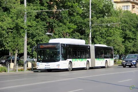 Автобусы софийская улица
