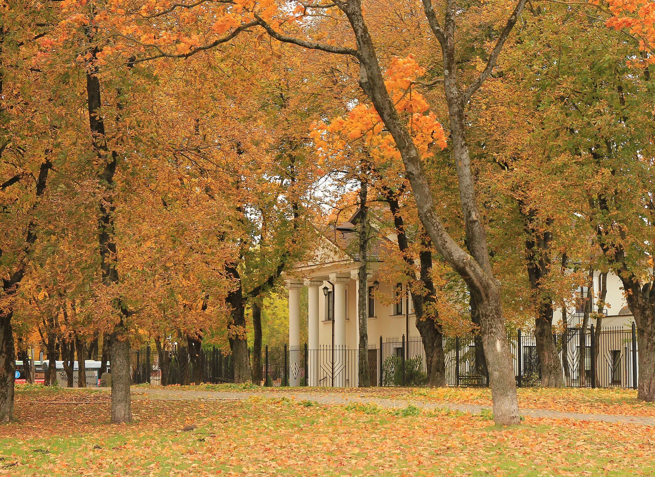 Осенний б р. Осенний б р