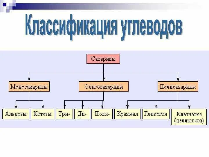 Углеводы липиды строение. Строение белков жиров и углеводов. Строение белков и углеводов. Липиды и белки строение и функции. Белки липиды углеводы.