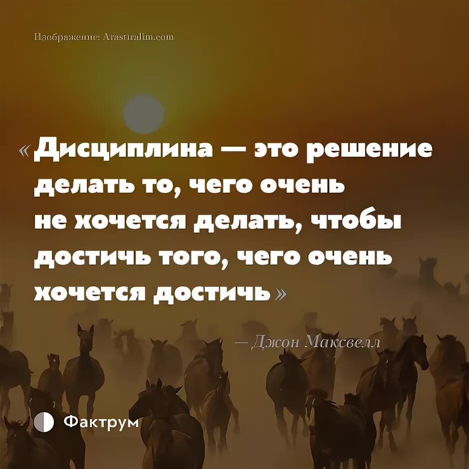 Решился делай