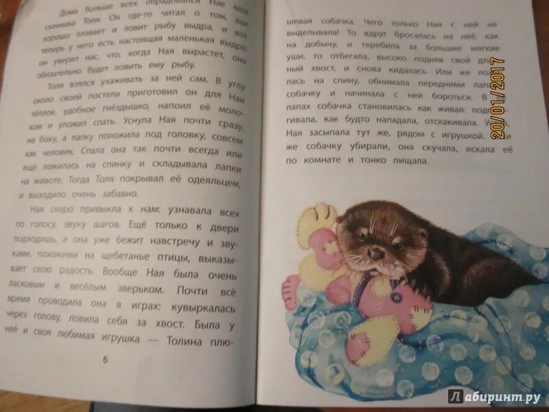Как проявляется материнская любовь по чаплиной. Как проявляется материнская любовь по чаплиной