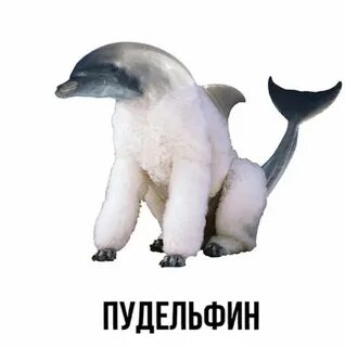 Пингвинишко