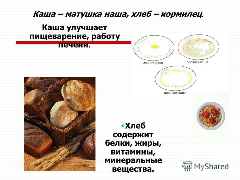 Пищеварение хлеба