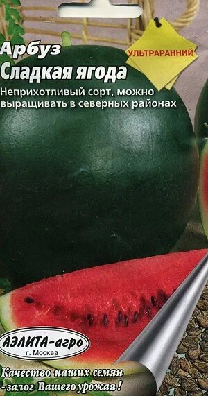 Почему выгодно выращивать чудо арбузы