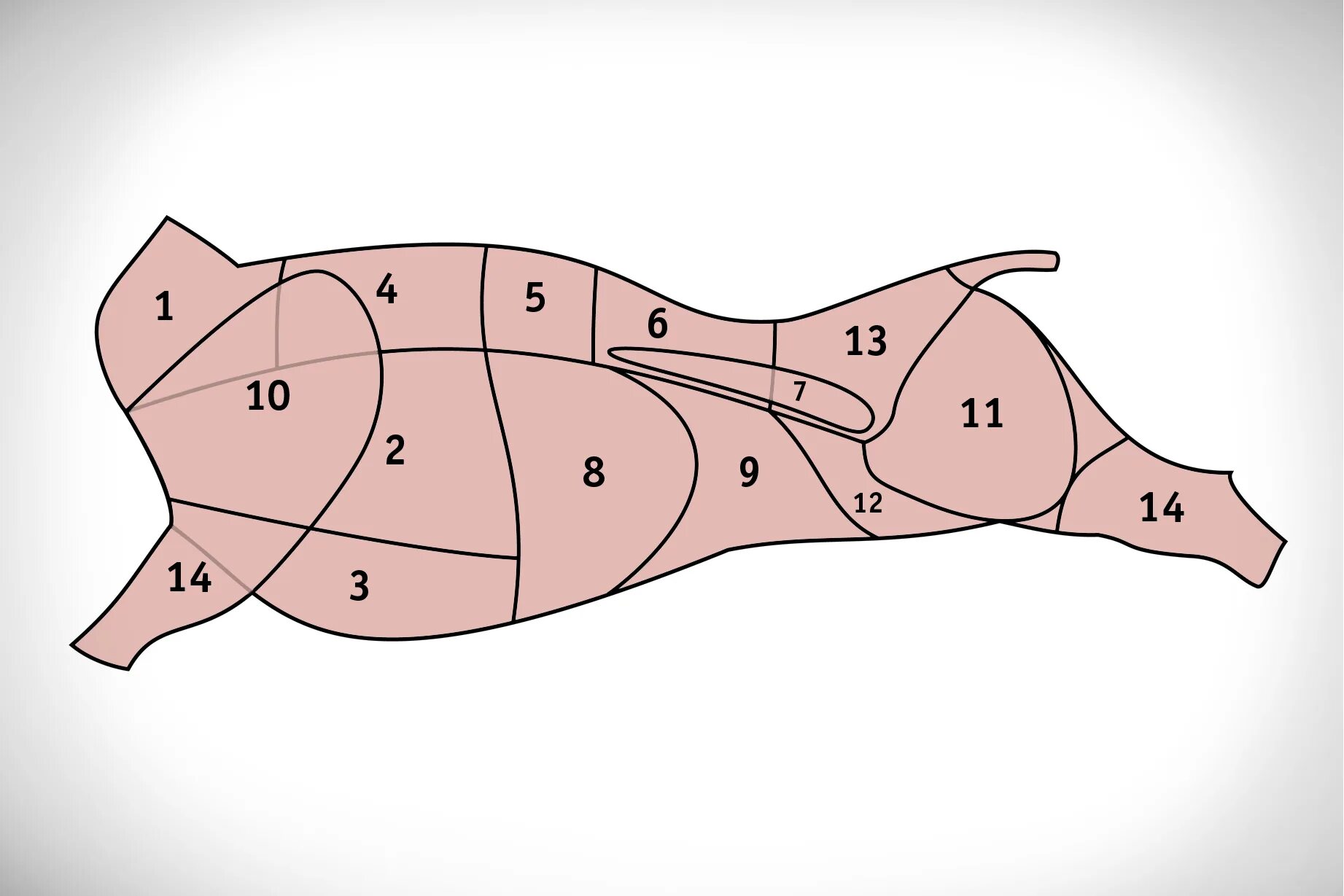Схема разруба туши говядины. Кострец на схеме разделки. Классическая схема разруба говяжьей туши. Кулинарная разделка говяжьей туши схема.