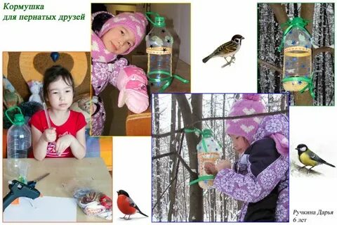 Акция кормушка