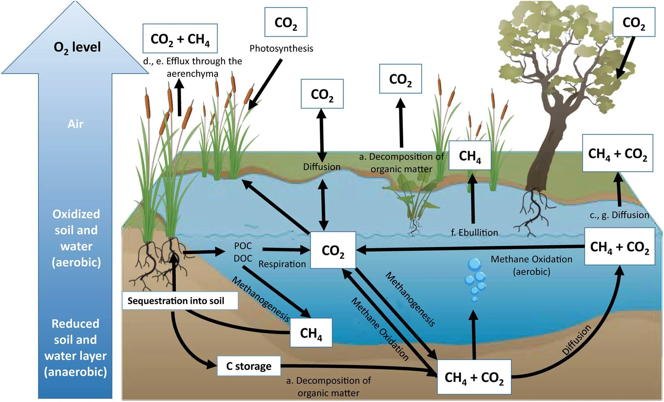 Soil Organic Carbon. Геохимический цикл углерода. Еиолие Хеиден карбон. Artificial Photosynthesis.