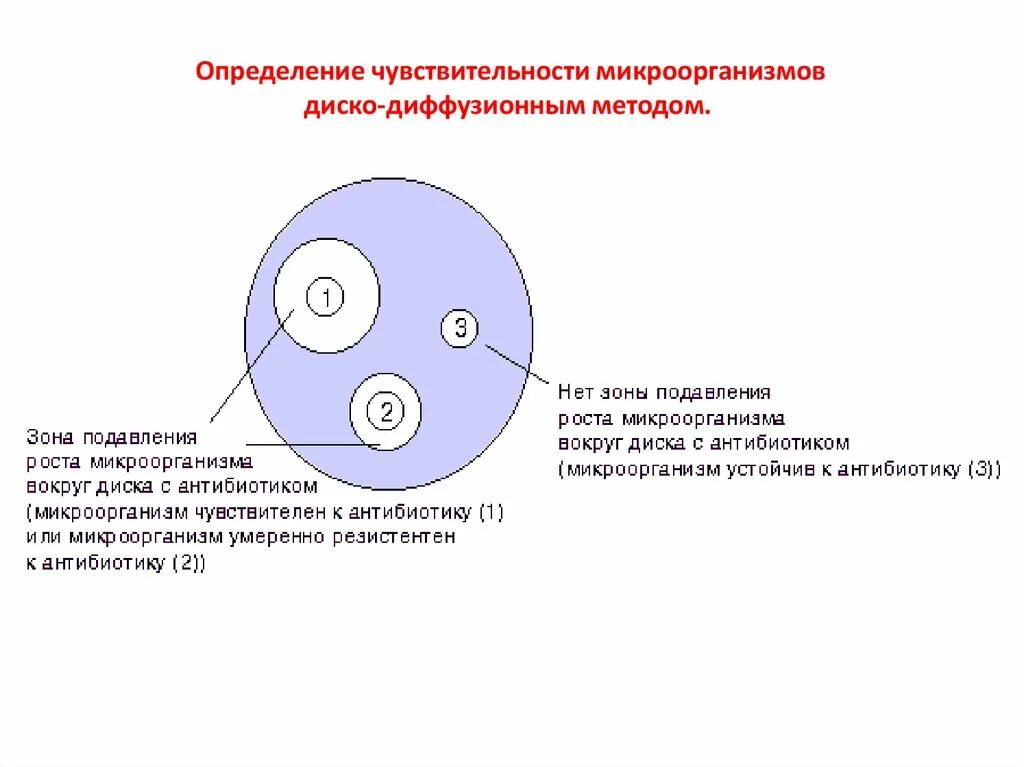 Чувствительность микроорганизмов к антибиотикам метод дисков. Антибиотики методы определения чувствительности к антибиотикам. Диско диффузный метод определения чувствительности бактерий. Чувствительность к антибиотикам диско-диффузионным методом. Диффузный анализ