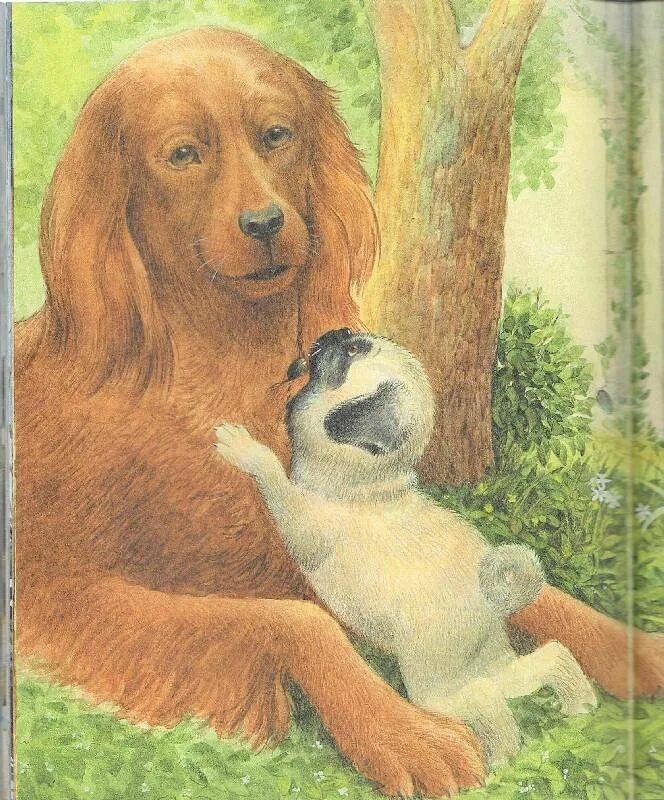 Солёный пёс иллюстрации. Рассказ о собаке. Мама и пес рассказ. Anita jeram. Соленый пес книга.