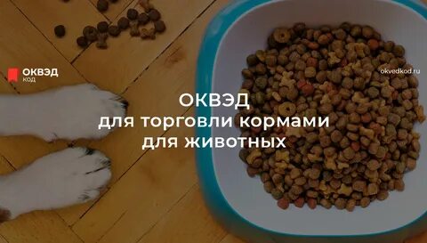 Корма оквэд