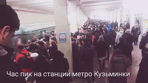 Кузьминки когда открылись