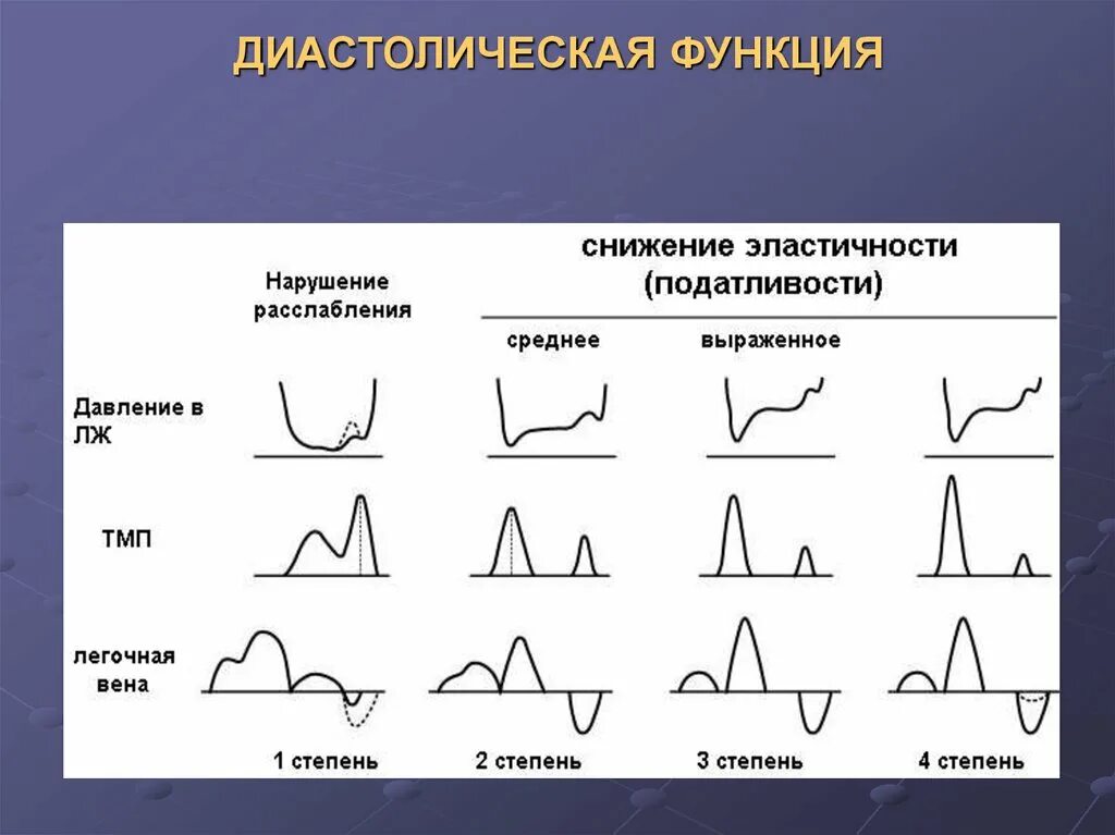 Нарушение диастолической функции типы. Оценка диастолической функции левого желудочка по эхокардиографии. Диастолическая функция левого желудочка. Оценка диастолической функции сердца.